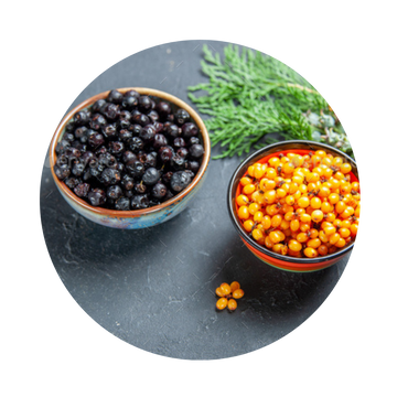 Black currant and sea buckthorn