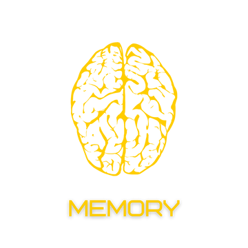 Memory icon