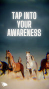 Free Stampede Network Wallpaper - Tap Into Your Awareness