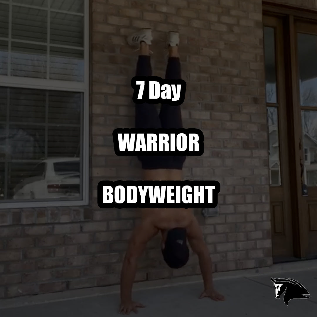 [FREE BONUS] Warrior Bodyweight Training Program